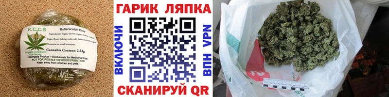 купить закладку  Сковородино  Cannafood марихуана 