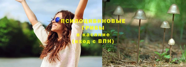 дживик Армянск