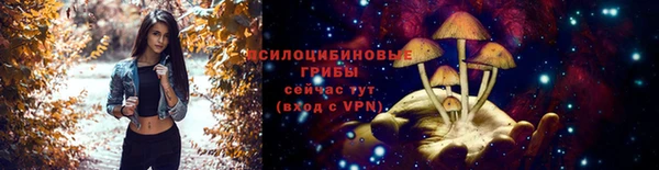 винт Балахна