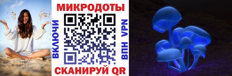 что такое   Сковородино  Галлюциногенные грибы GOLDEN TEACHER 